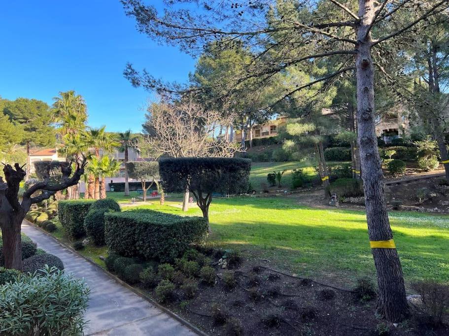 Appartement Tout Confort, Piscine Et Acces Plage Sanary-sur-Mer Dış mekan fotoğraf